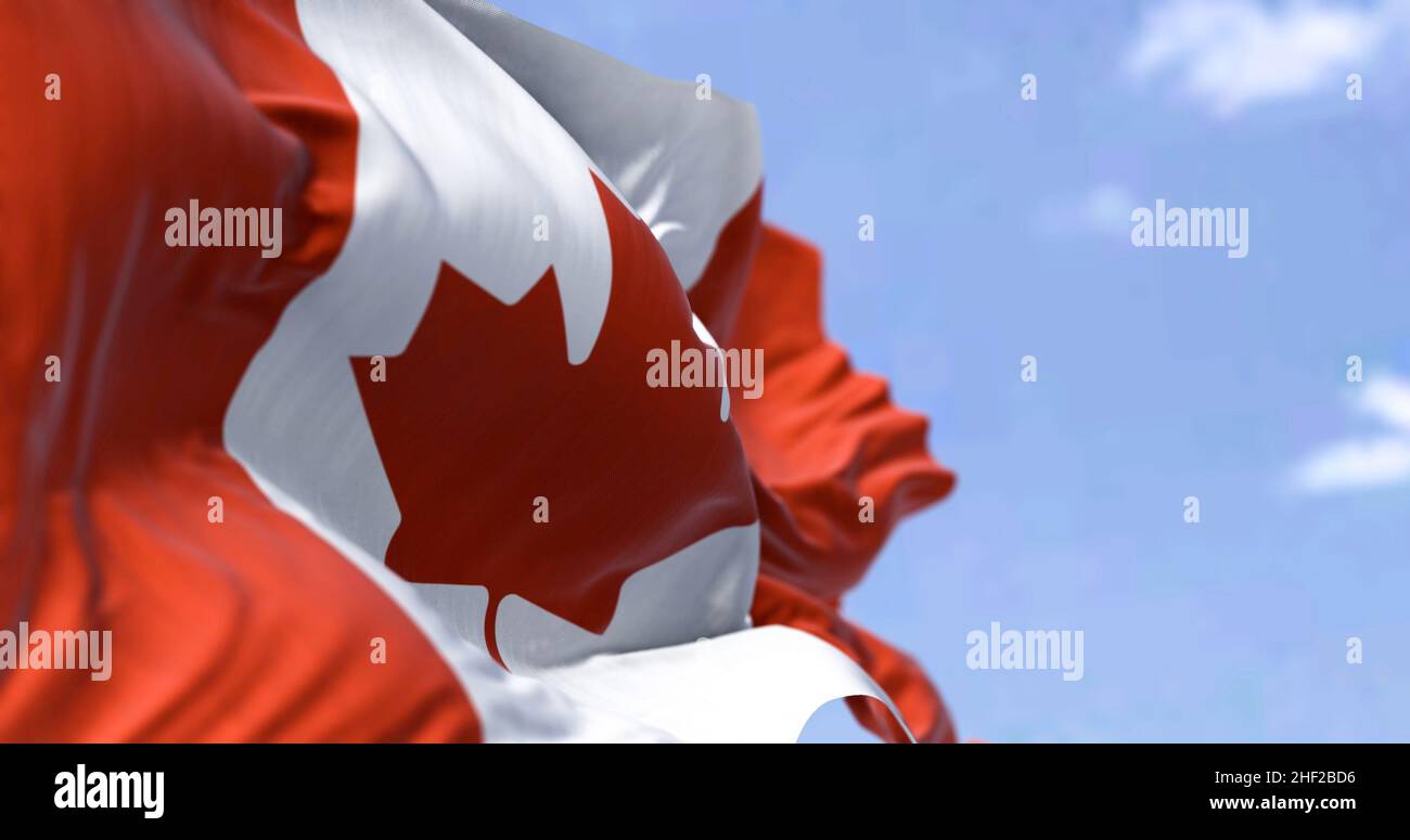 Detailed close up of the national flag of Canada waving in the wind on a clear day. Democracy and politics. North american country. Selective focus. Stock Photo