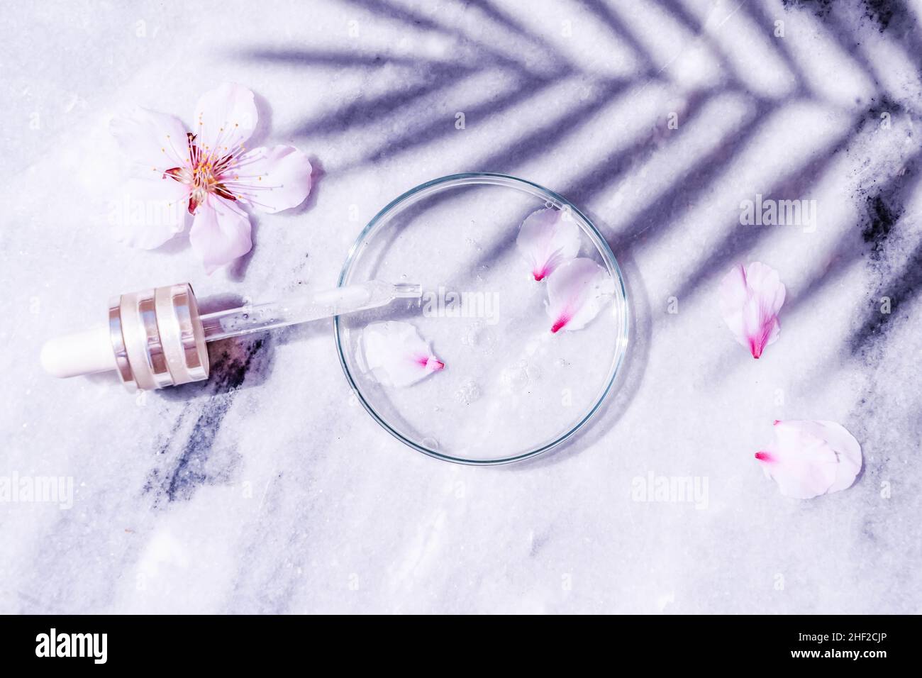 Retinol and almond oil serum oil beauty care Stock Photo Alamy