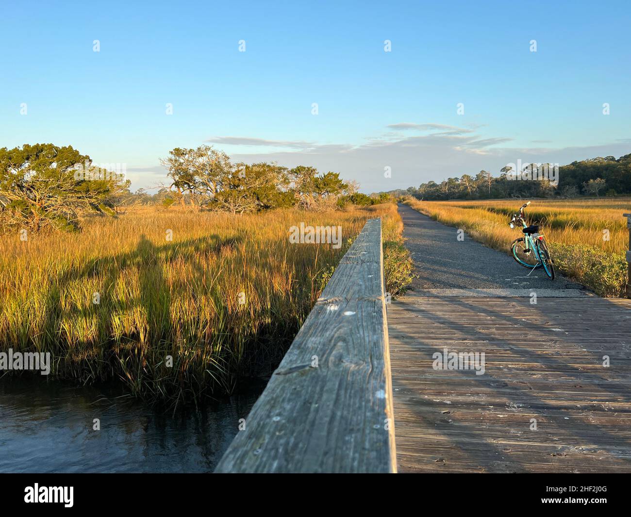 The salt marsh at Clam Creek, Jekyll Island, Georgia provides a unique maritime habitat in the lowcountry. Stock Photo