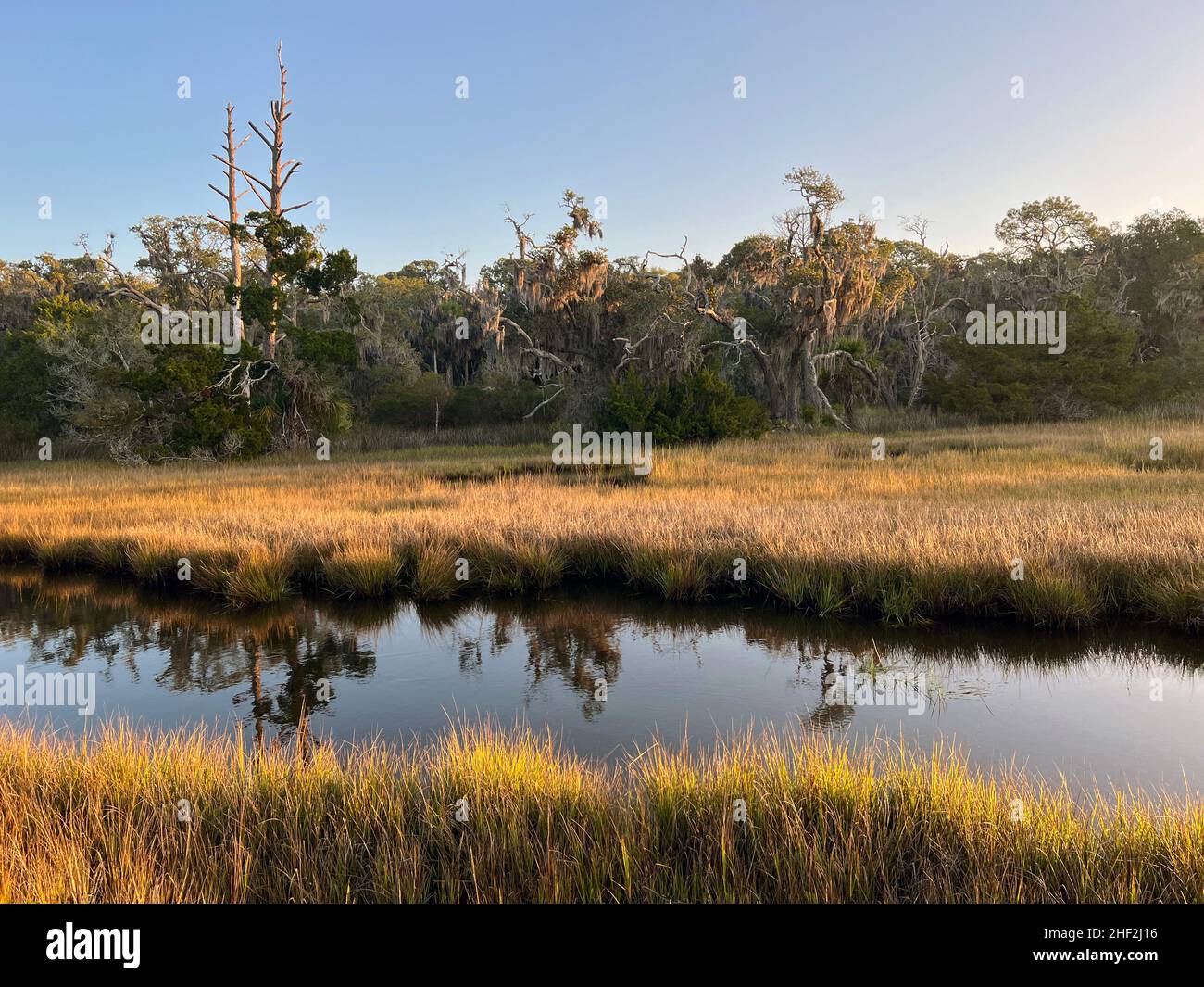 The salt marsh at Clam Creek, Jekyll Island, Georgia provides a unique maritime habitat in the lowcountry. Stock Photo