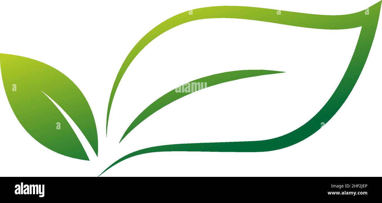 Green leaf, natural leaf icon logo design template vector Stock Vector