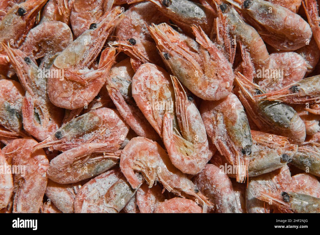 Closeup of frozen shrimps. Uncooked and unpeeled seafood background