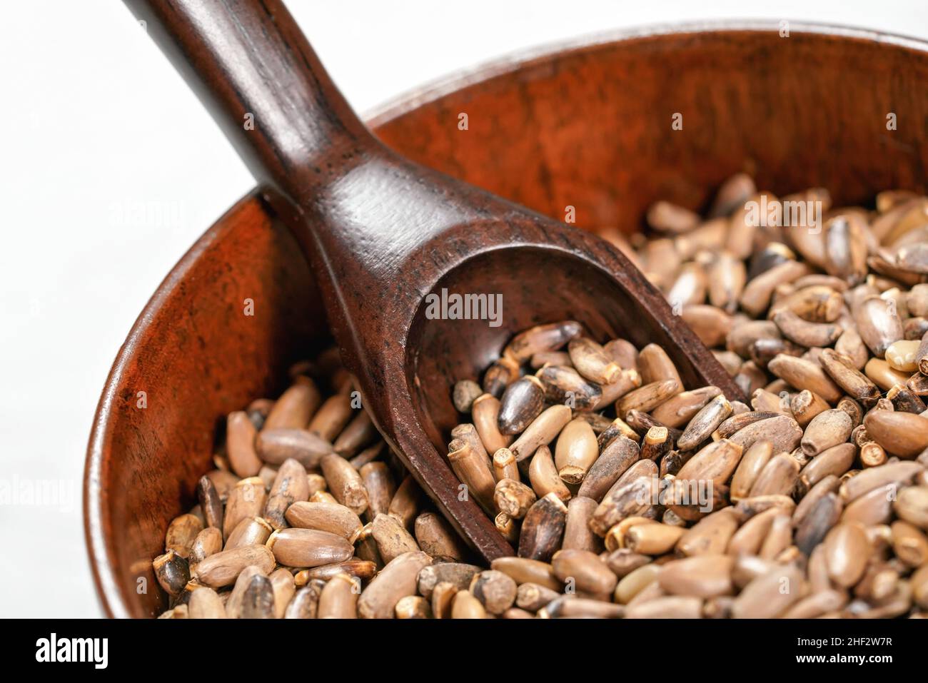 Blessed milk thistle seeds - Silybum marianum - in small wooden cup with spoon closeup detail Stock Photo