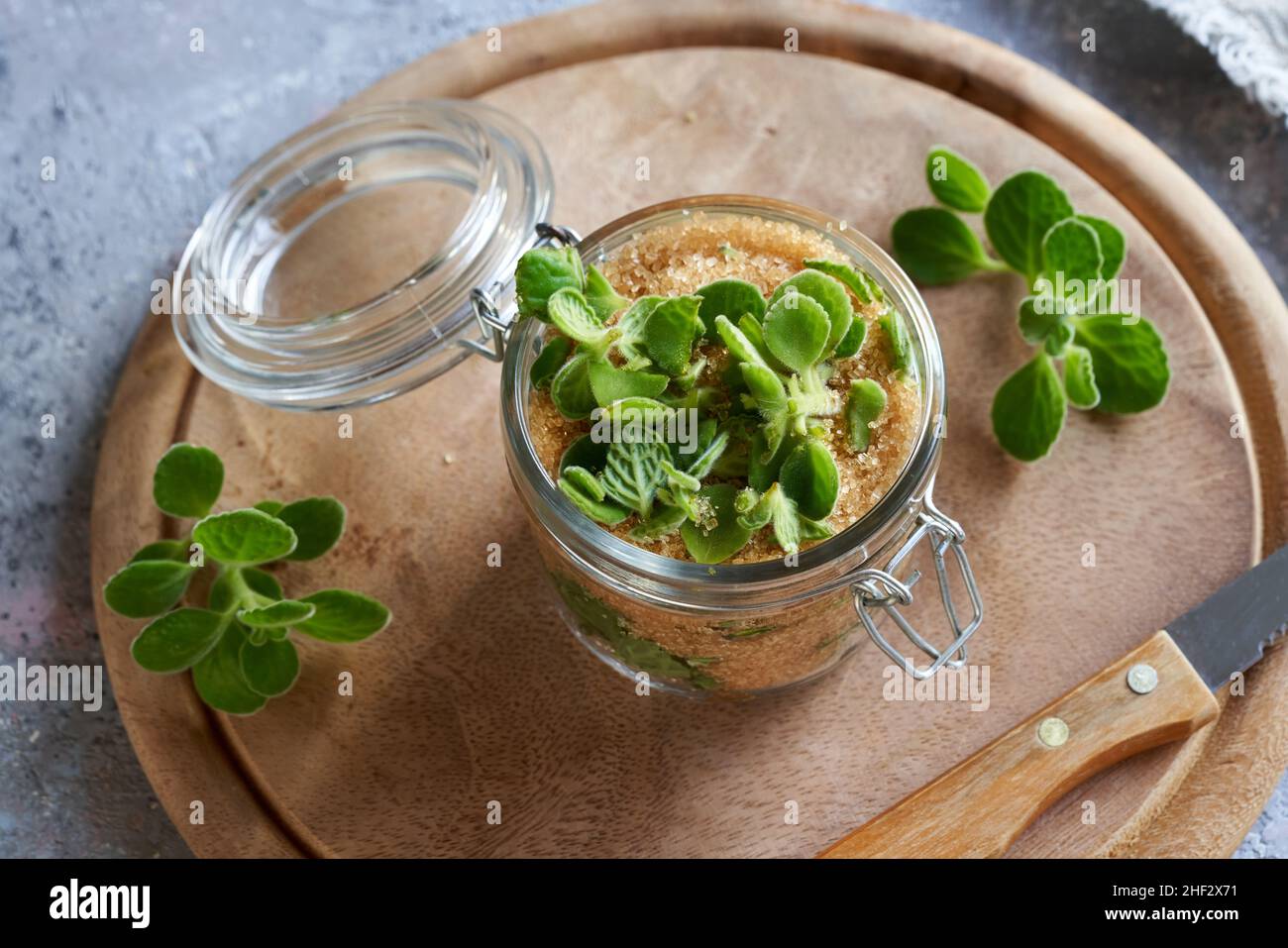 Preparation of a homemade silver spurflower syrup in a glass jar Stock Photo