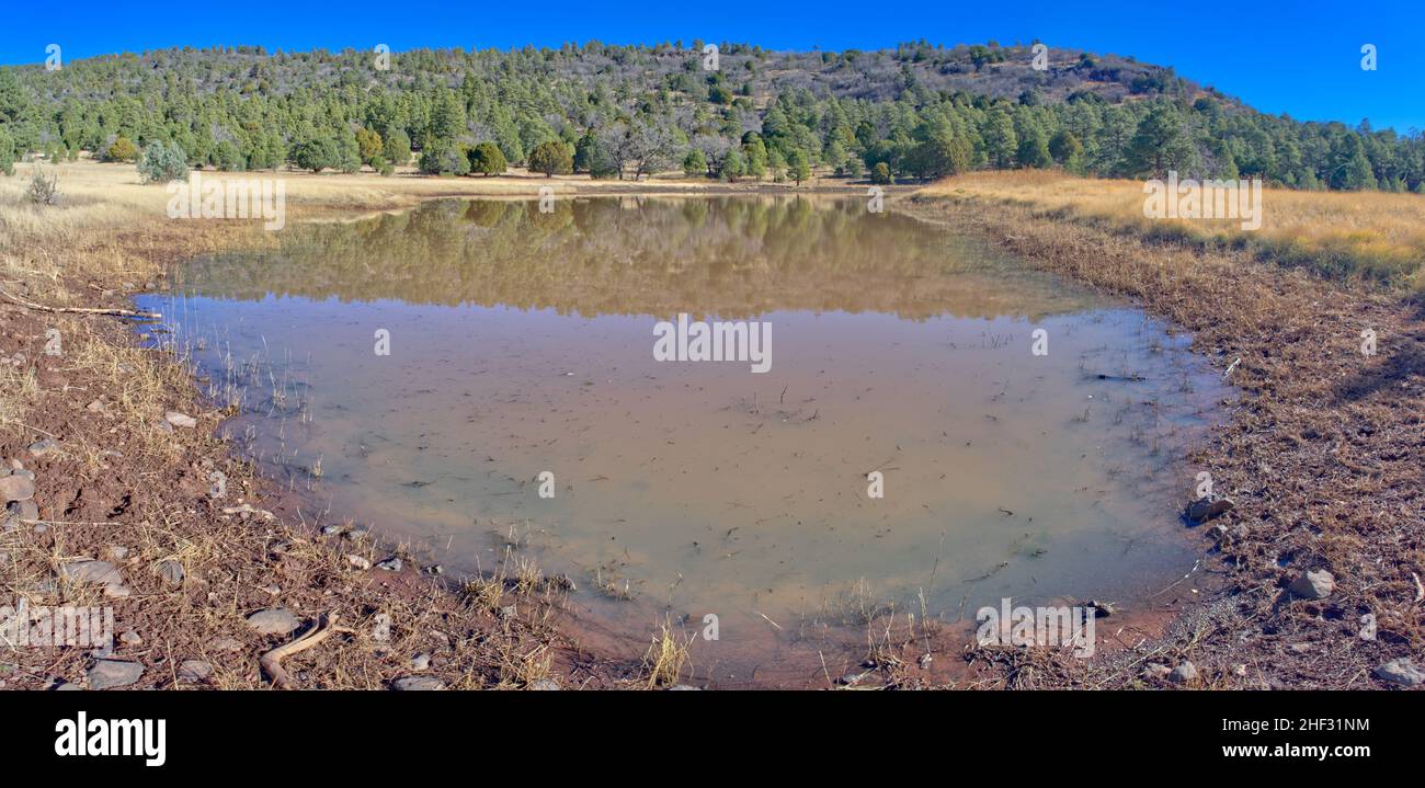 One of two cattle ponds in the Woodchute Mountain Wilderness between Jerome and Prescott Arizona in the Prescott National Forest. Stock Photo