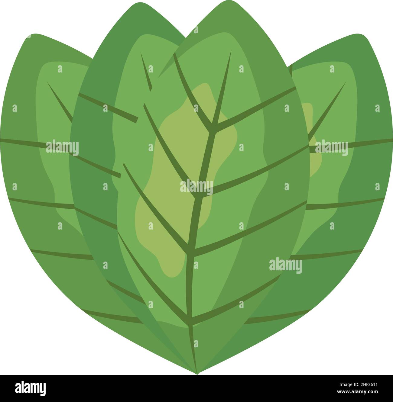 green leaves icon on white background Stock Vector Image & Art - Alamy
