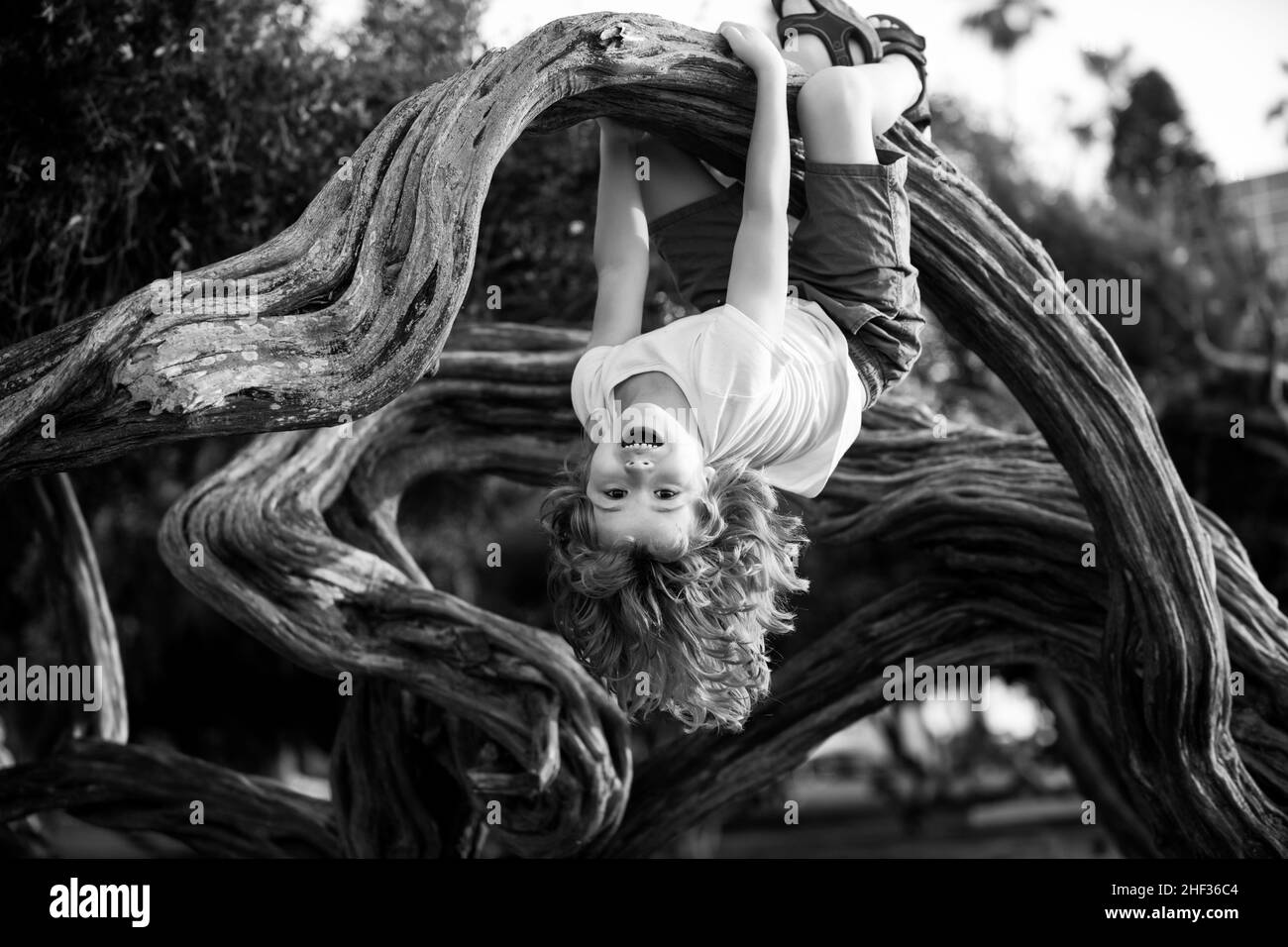 Child climbing tree. Smiling funny kid clim tree in the garden. Stock Photo