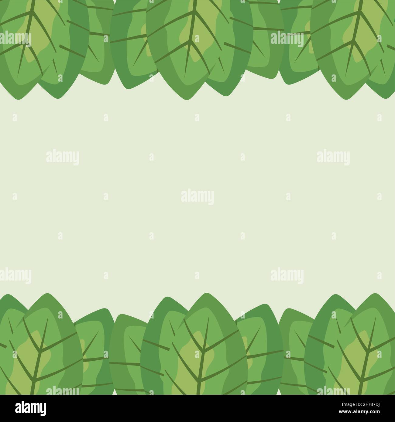 green leaves frames template design Stock Vector Image & Art - Alamy