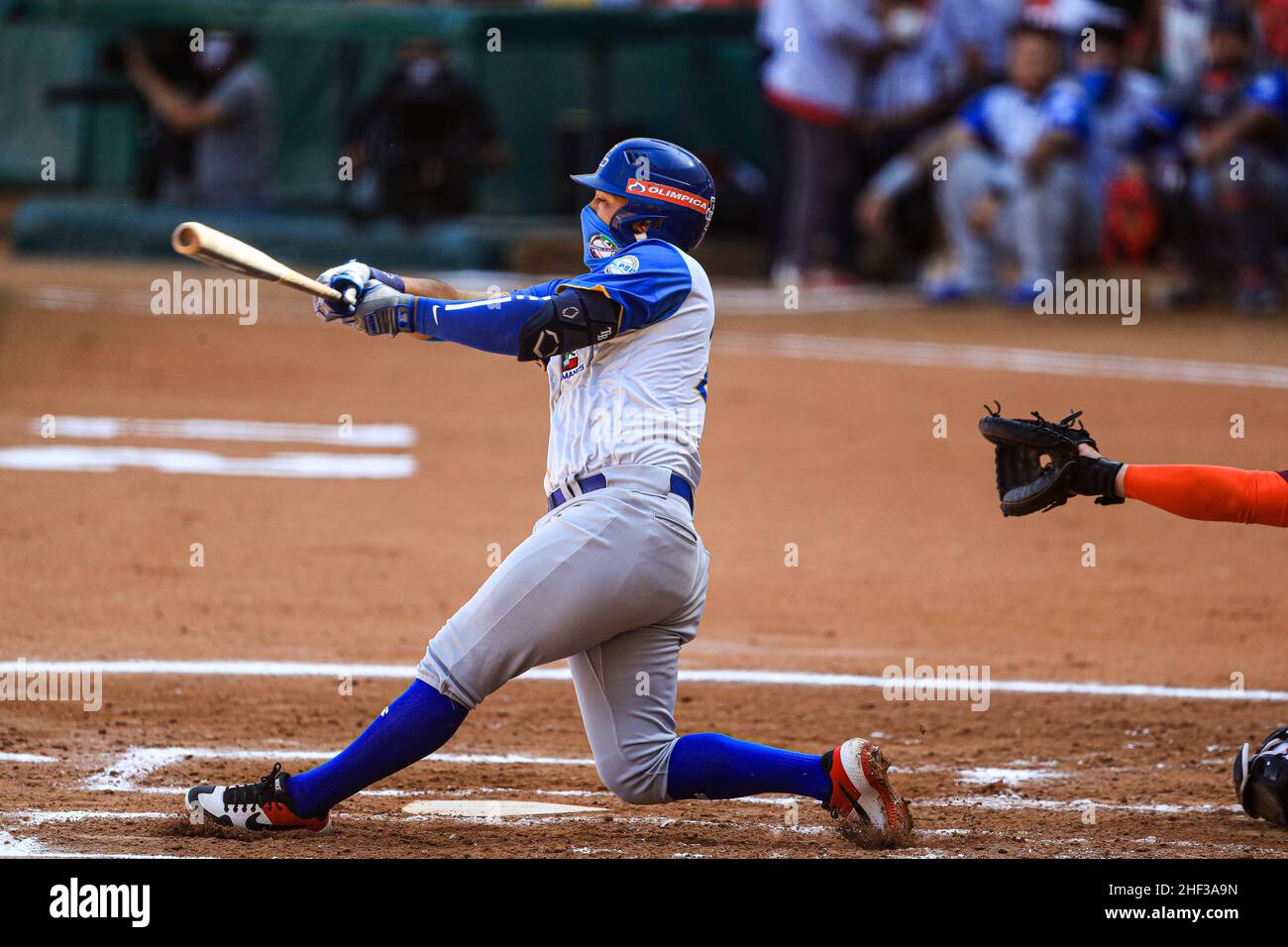 MAZATLAN, MEXICO - FEBRUARY 02: Robinson Javier Cabrera of Los Caimanes de  Barranquilla in his turn at bat,, during the game between Colombia and  Venezuela as part of Serie del Caribe 2021
