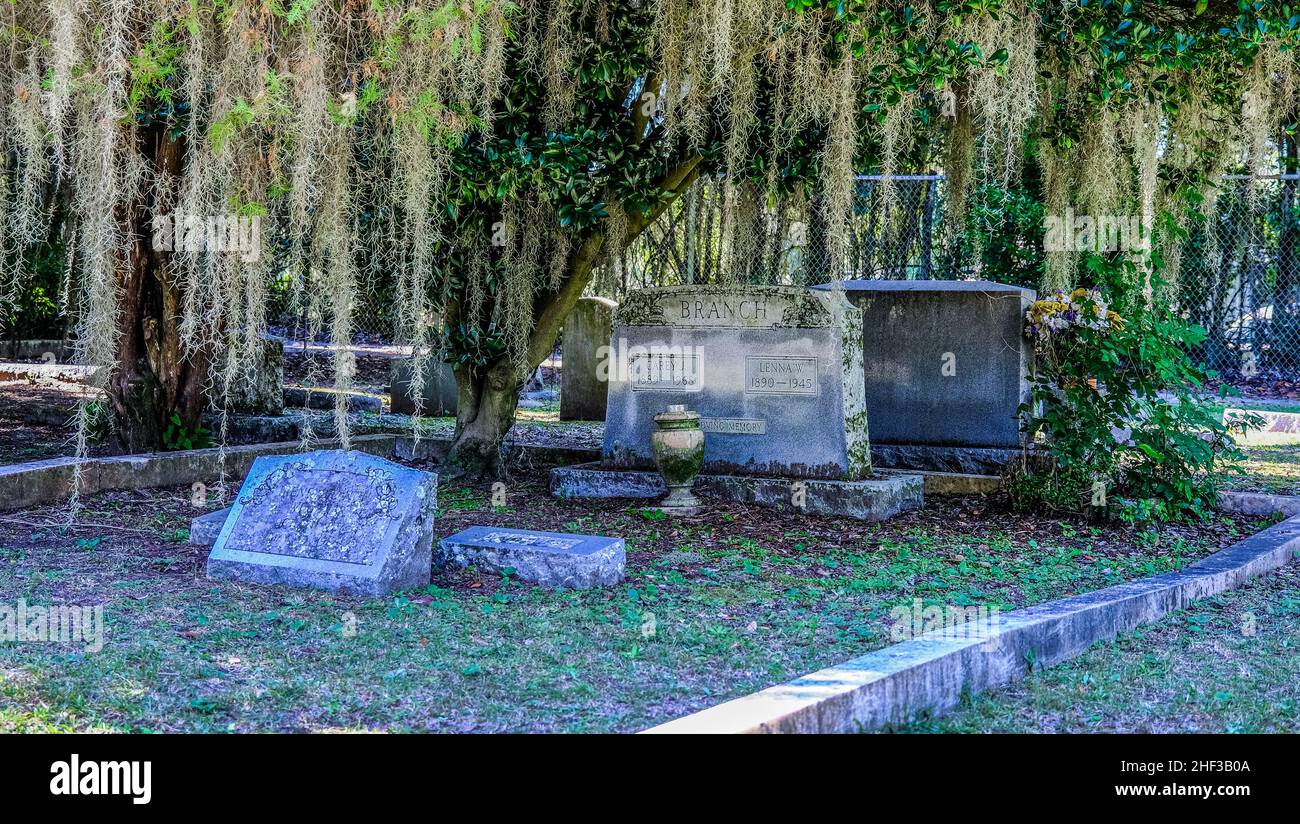 Old Grave Markers Under Spanish Moss Stock Photo Alamy