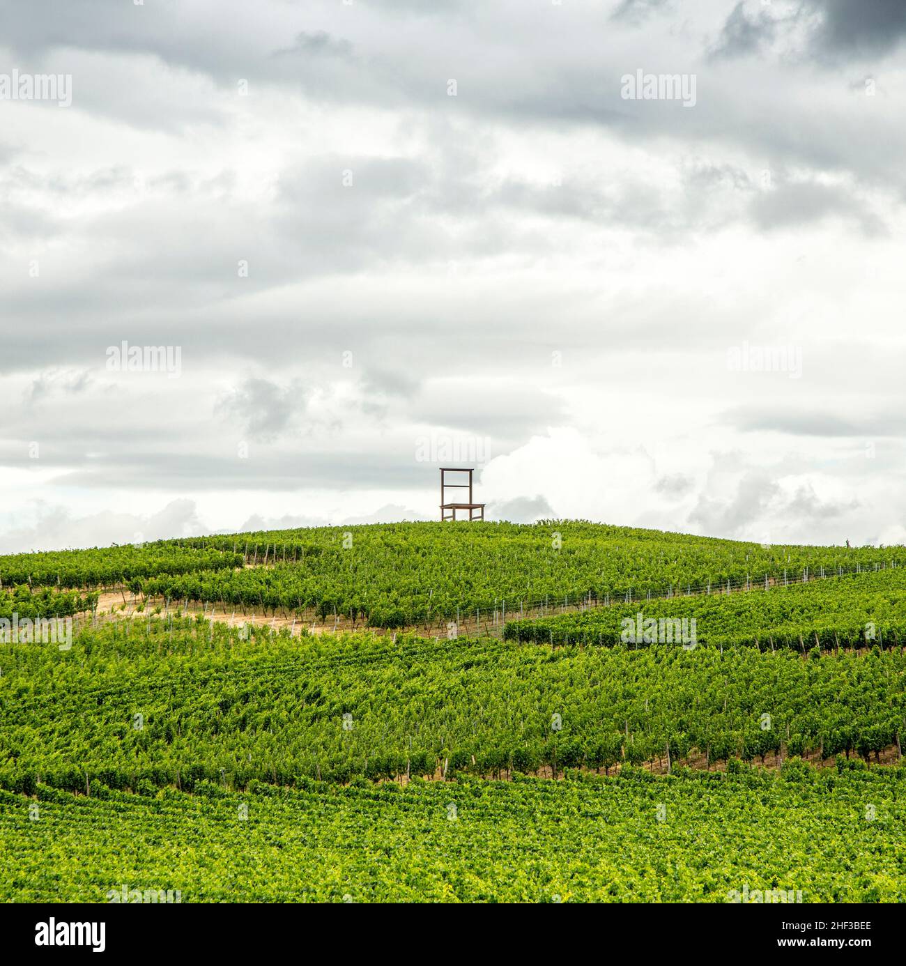 Vineyards of the Kaiserstuhl region, Baden-Wurttemberg, Germany with the symbol of the cultivation area, a big chair Stock Photo