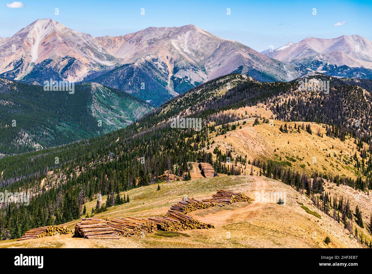 Felled logs; pine beetle kills; summer panorama view of Rocky Mountains; Continental Divide; from Monarch Pass; Colorado; USA Stock Photo