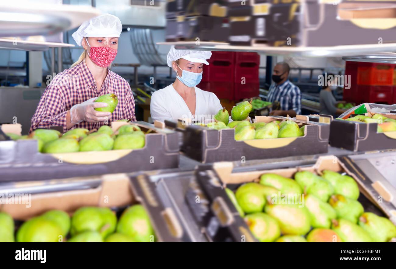 Sorting masks hi-res stock photography and images - Alamy