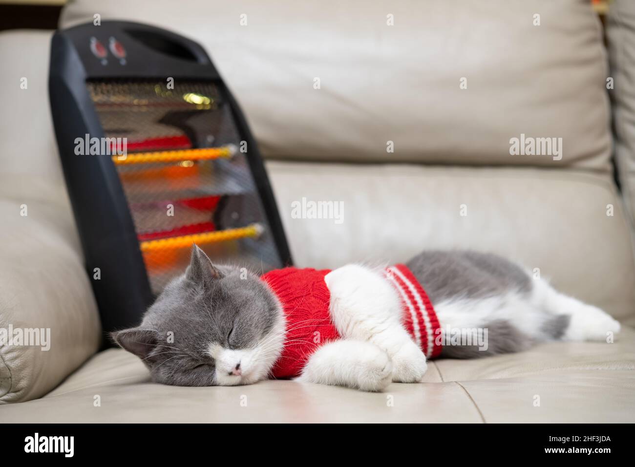 a cat sleeping on a sofa with an electric heater on back Stock Photo