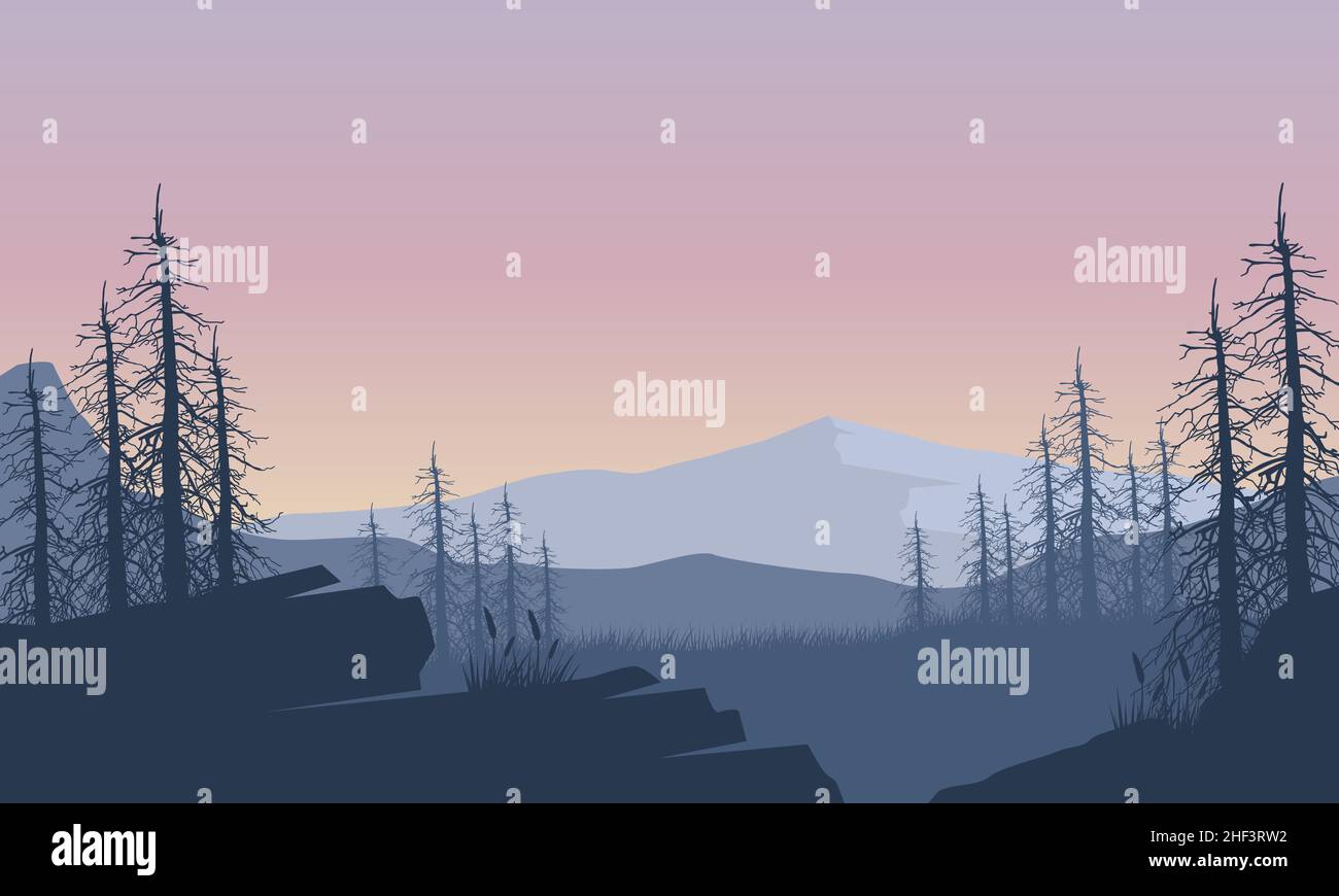 Pdusk Vector Panorama of the mountain with a magnificent silhouette of pine trees ...