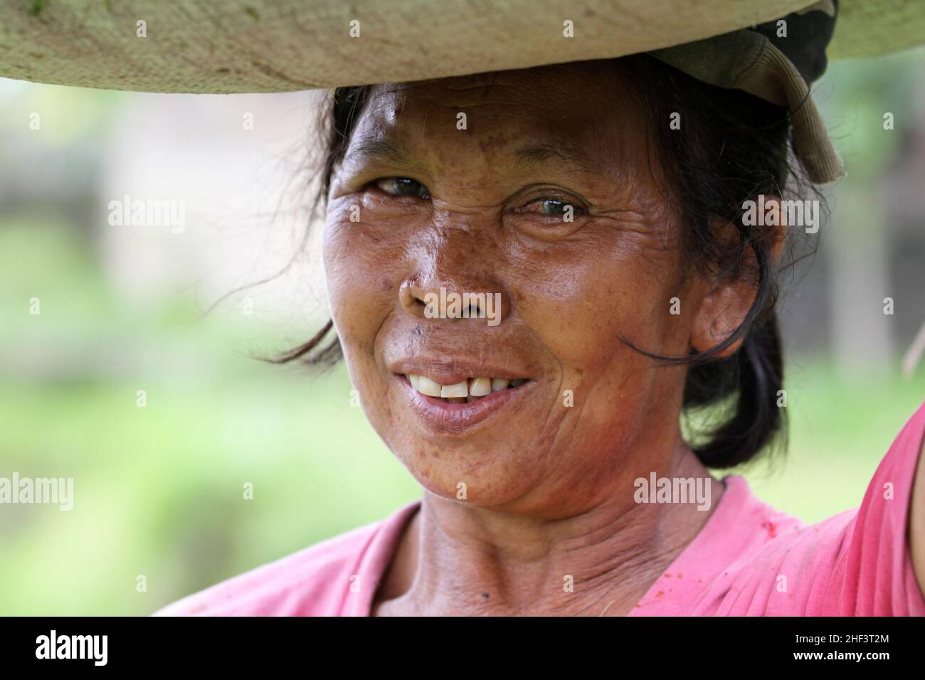 A female farmer working in the terraced rice paddies at Tegalallang in Ubud, Bali, Indonesia Stock Photo