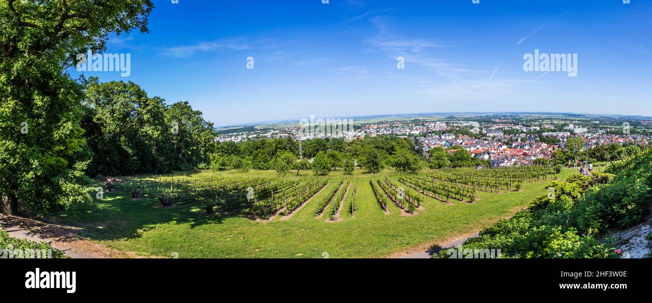 panorama of Bad Nauheim from the hills with vineyard Stock Photo