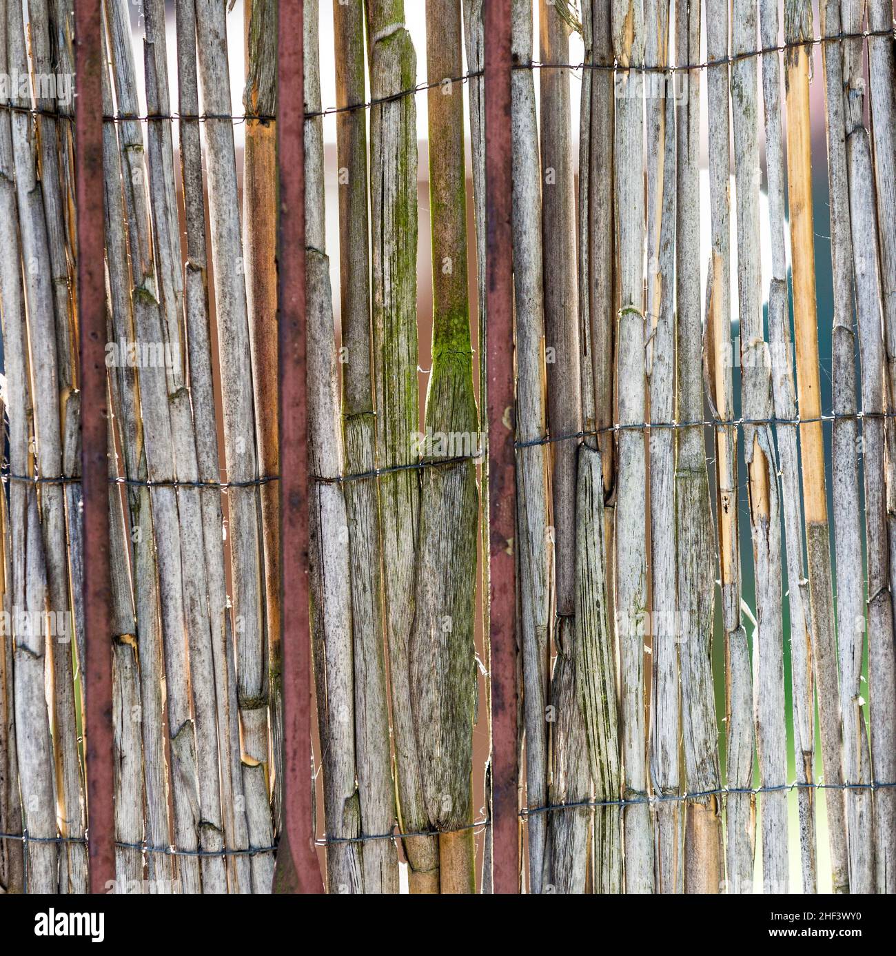 Rotten rattan hi-res stock photography and images - Alamy
