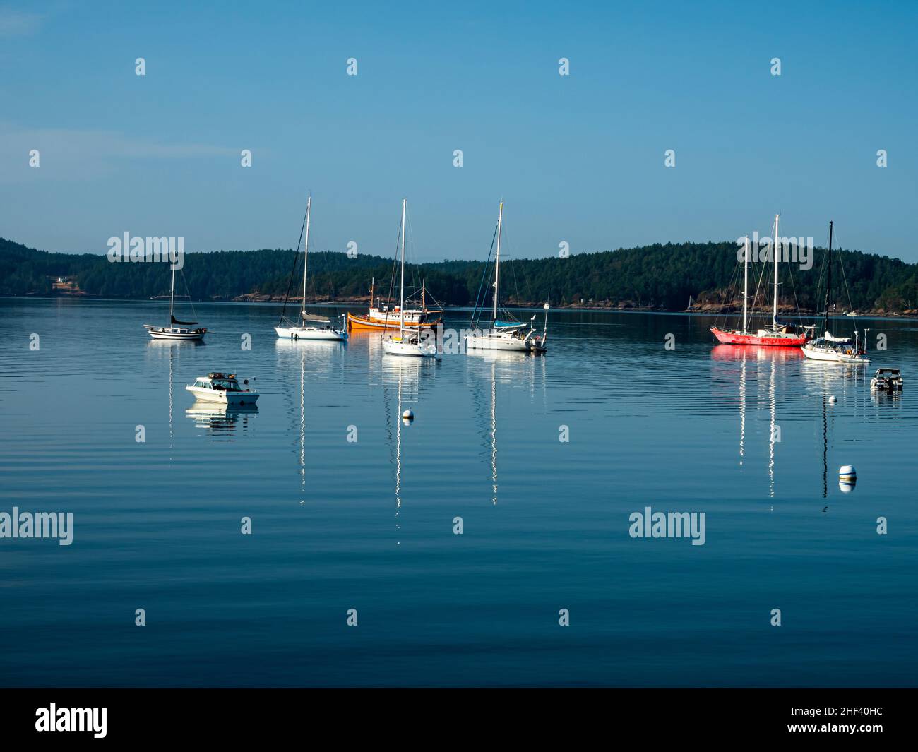 WA21067-00...WASHINGTON - Boats anchored in West Sound on Orcas Island, one of the San Juan Islands. Stock Photo