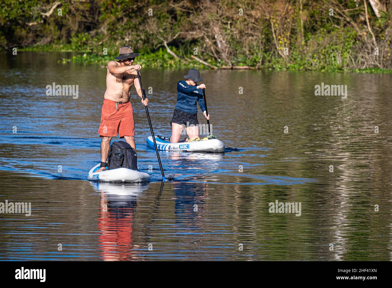 Couple paddleboarding at Wekiwa Springs State Park in Apopka, Florida, near Orlando. (USA) Stock Photo