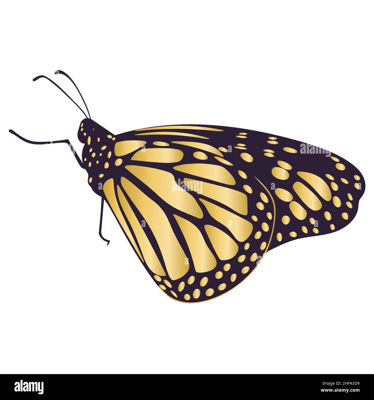 Beautiful gold butterfly isolated vector illustration Stock Vector