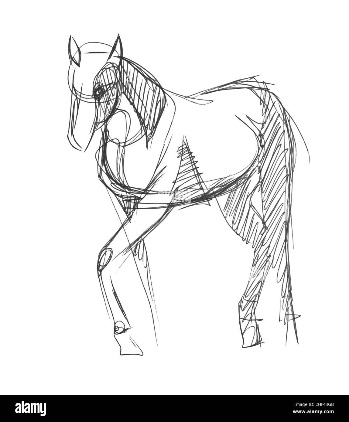 A quick pencil sketch of a half-turn horse on white paper. Fine freehand gesture drawing in minimalistic style. Modern monochrome creative vector art Stock Vector