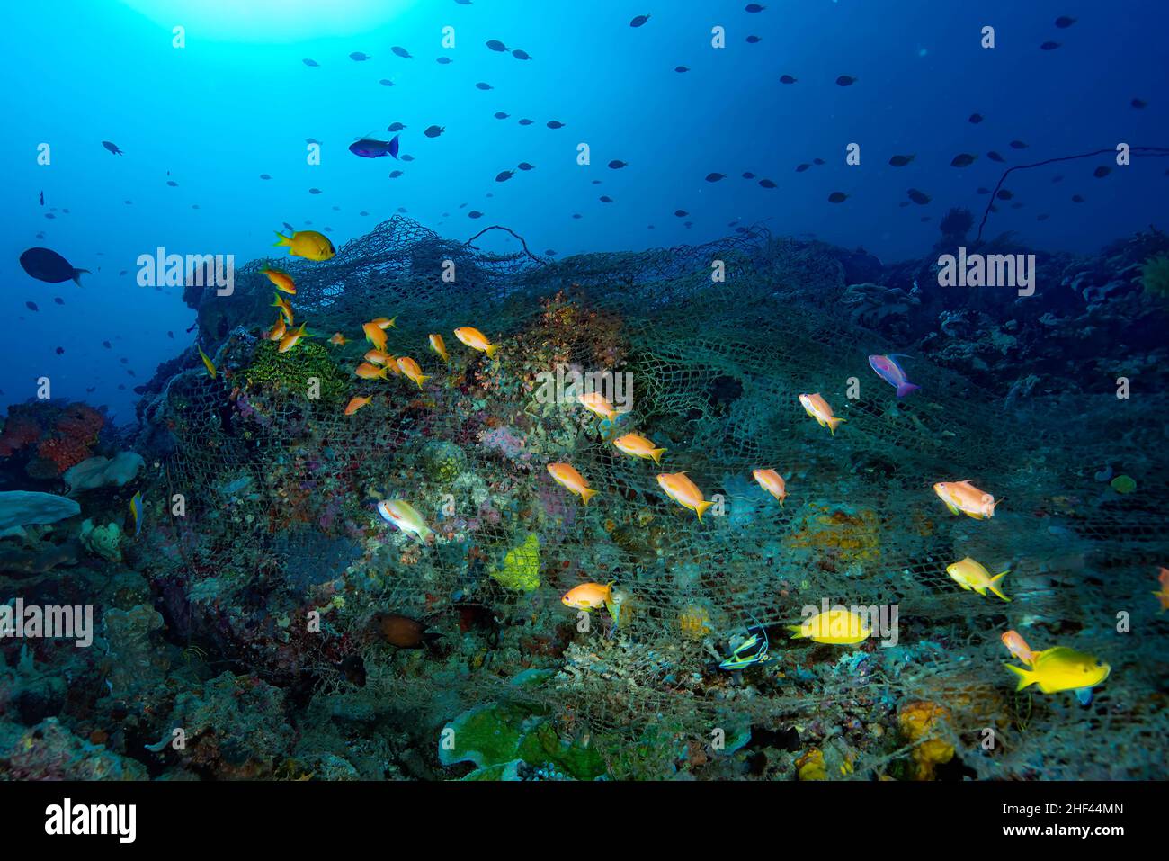 Apo island fishing hi-res stock photography and images - Alamy