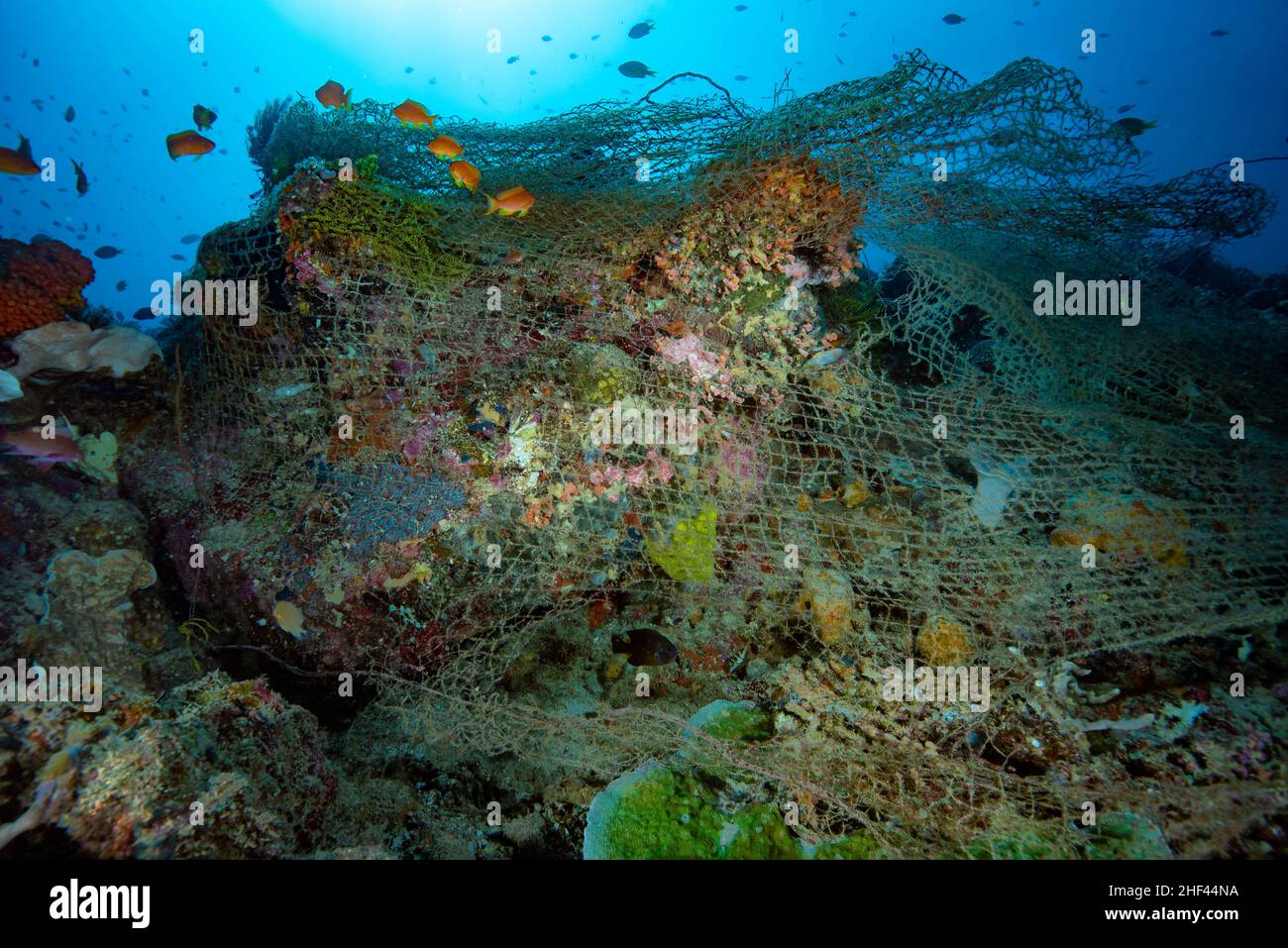 Lost ghost fishing net Apo Island Philippines Stock Photo