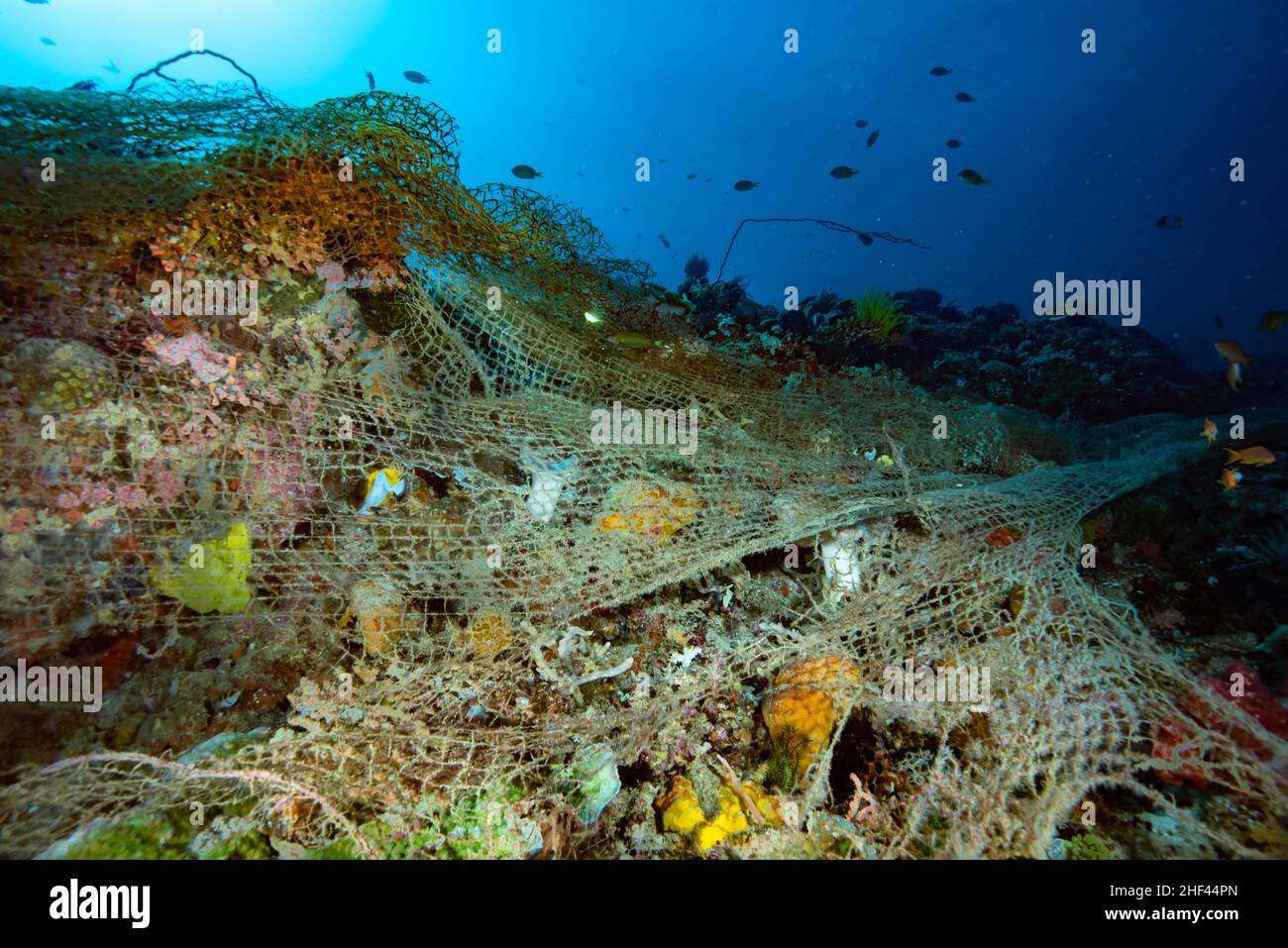 Lost ghost fishing net Apo Island Philippines Stock Photo - Alamy