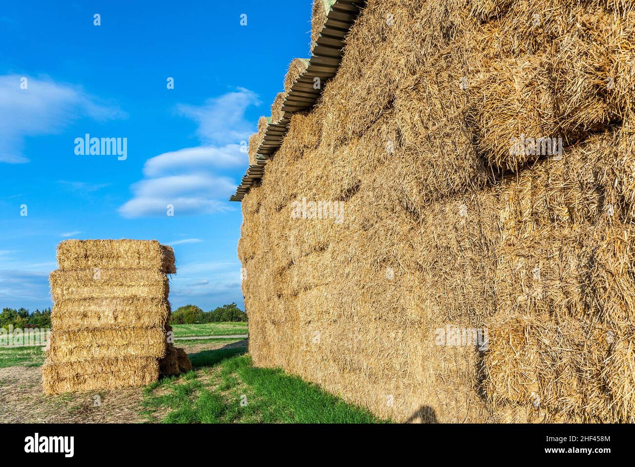 bale of straw in autumn in intensive colors Stock Photo - Alamy