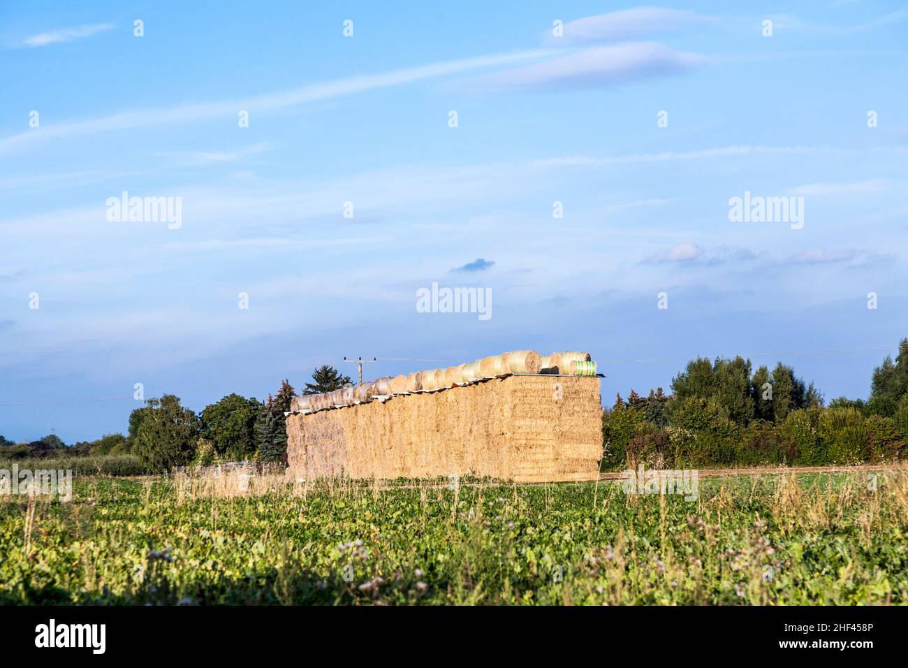 bale of straw in autumn in intensive colors Stock Photo - Alamy