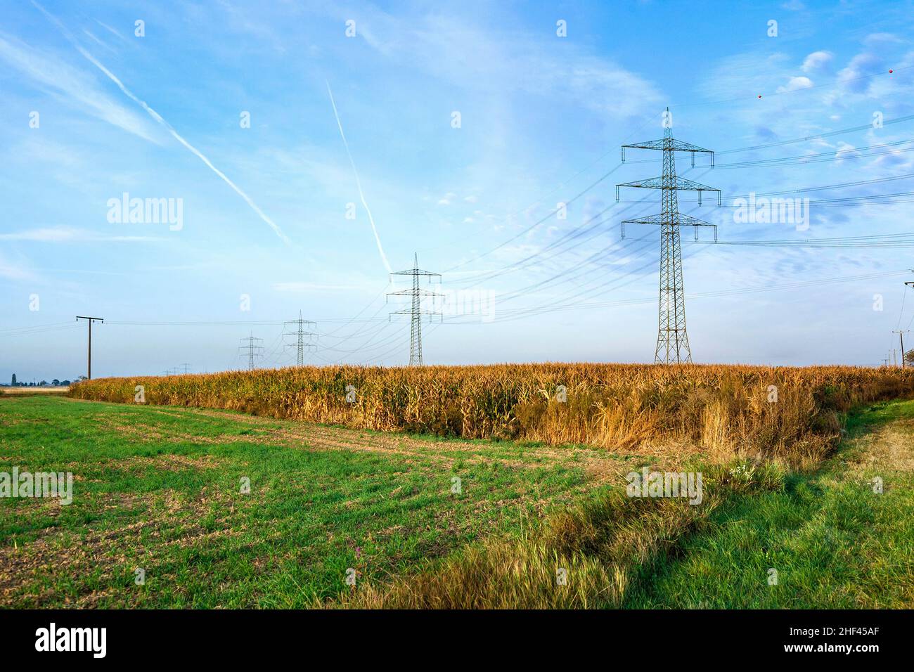 sunrise with field and electric pylon under blue sky Stock Photo - Alamy