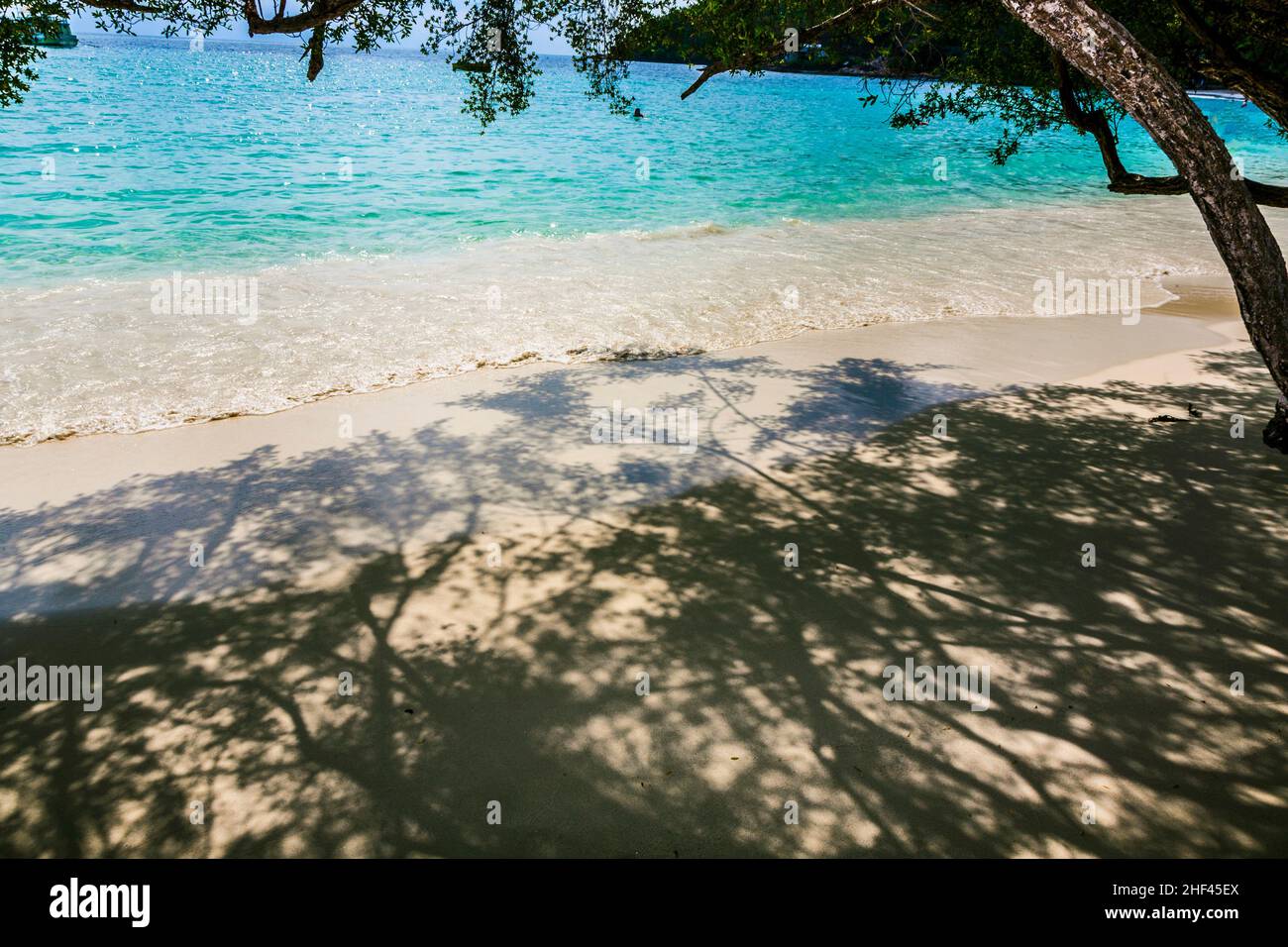 tropical beach in Koh Samet, Thailand with trees Stock Photo