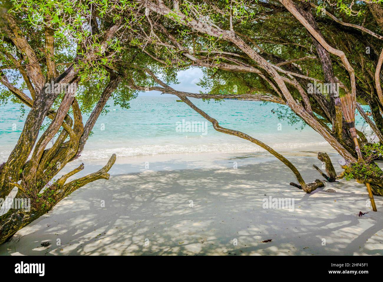 tropical beach in Koh Samet, Thailand with trees Stock Photo