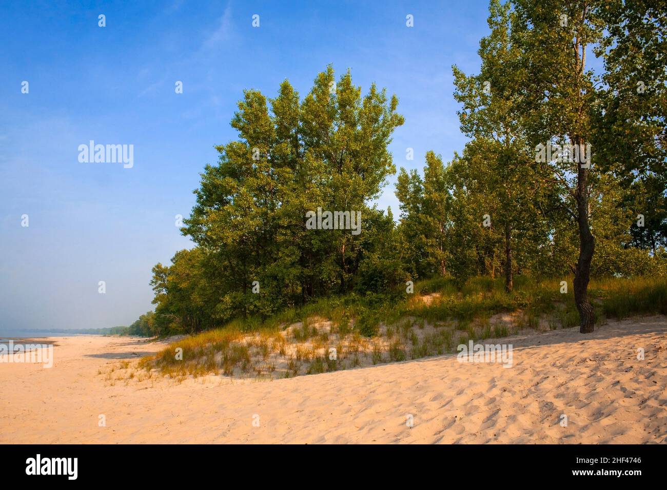 The sand dunes and beach vegetation along Lake Erie at Long Point Provincial Park, Ontario, Canada Stock Photo