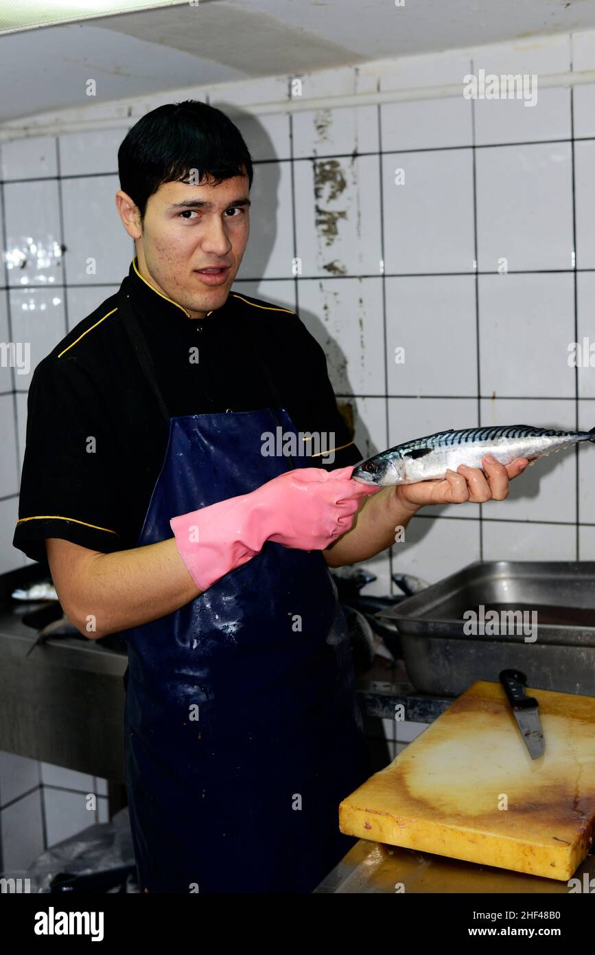 A young Turkish cook slicing Mackerel fish filets for the popular fish