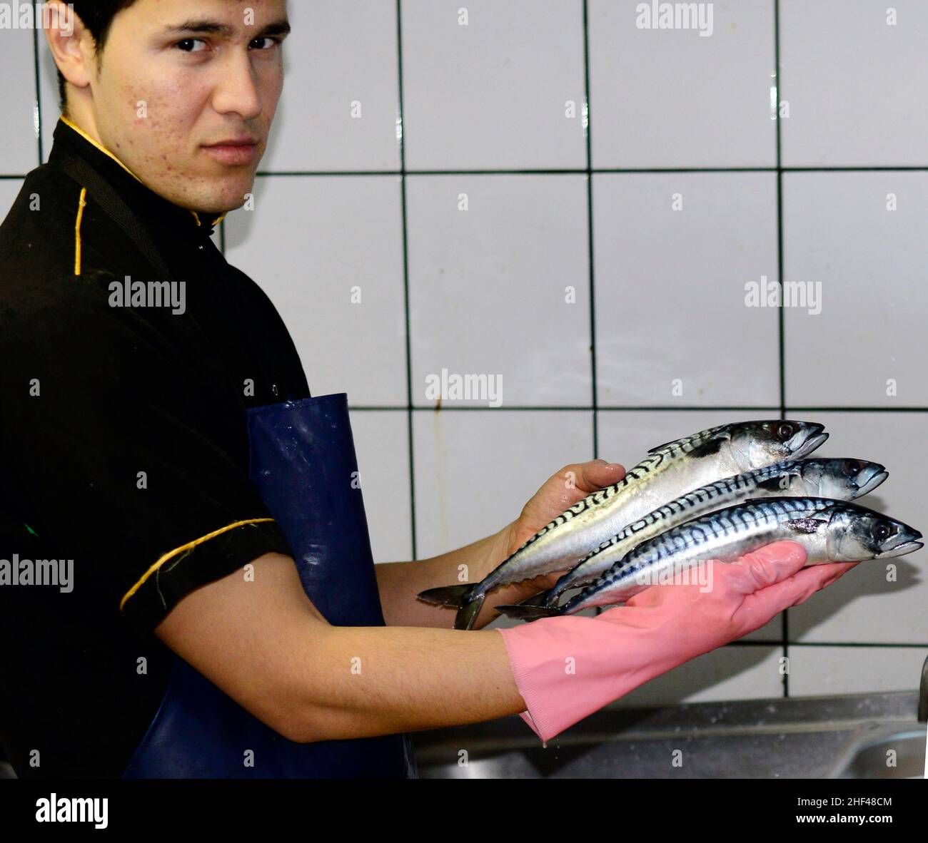A young Turkish cook slicing Mackerel fish filets for the popular fish