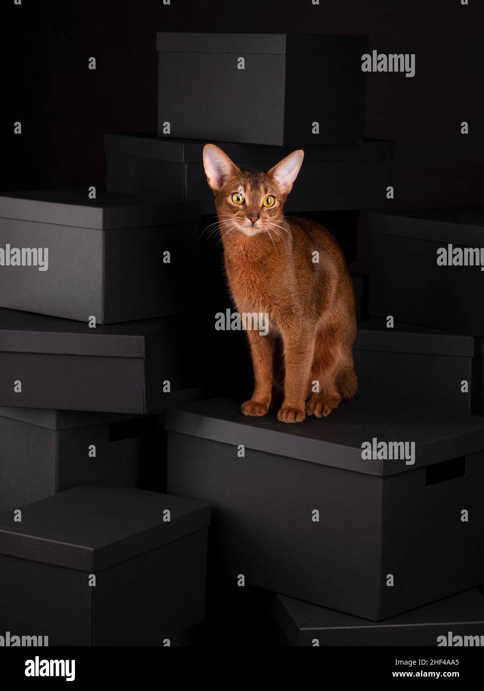 Large dark Stack of Black Boxes in different sizes Stock Photo