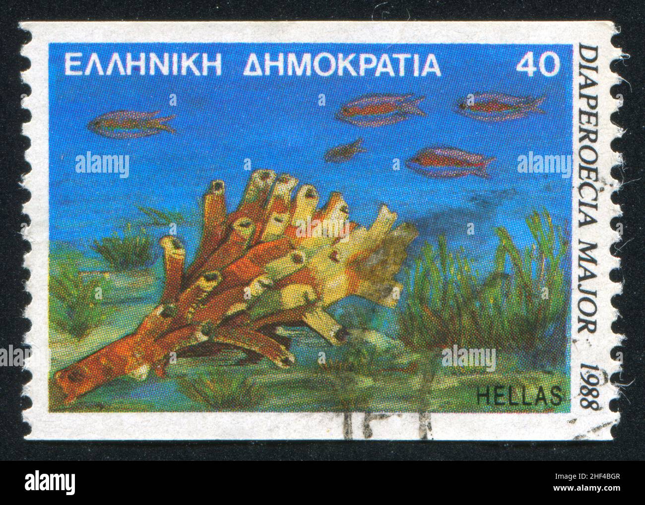 GREECE - CIRCA 1988: stamp printed by Greece, shows Marine Life, Diaperoecia major, circa 1988 Stock Photo
