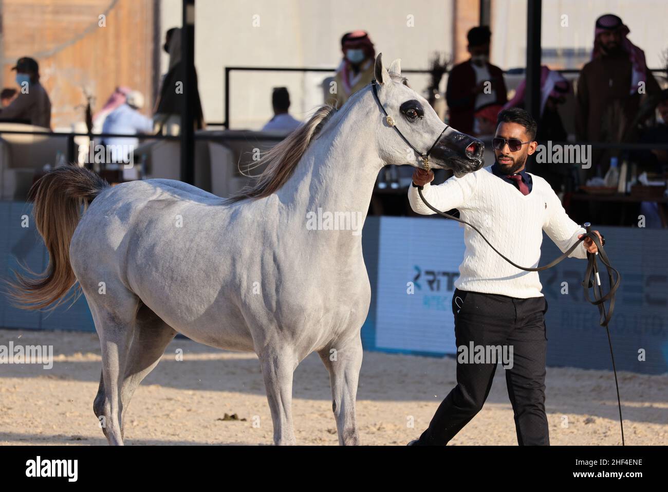 Riyadh, Saudi Arabia. 13th Jan, 2022. A horse is displayed at the Saudi