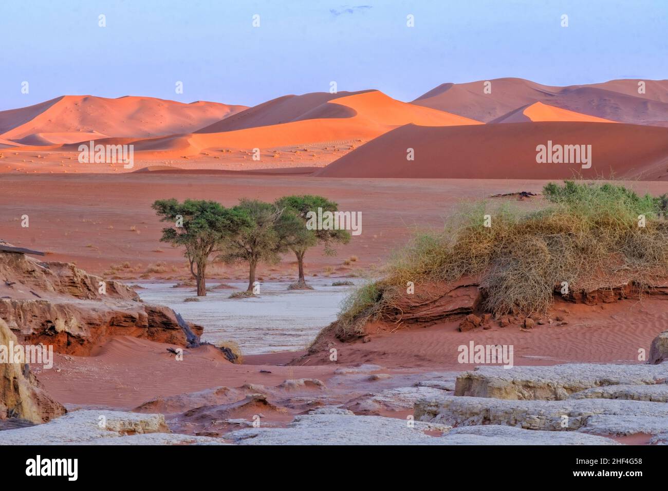 Orange dunes landscapes. Namibia landscape. Sossusvlei, Namib Naukluft National Park, Namibia Stock Photo