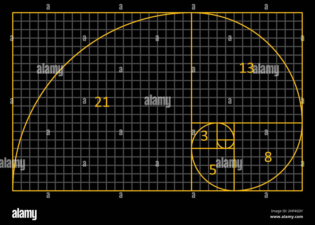 Golden Ratio Fibonacci. Stock Vector