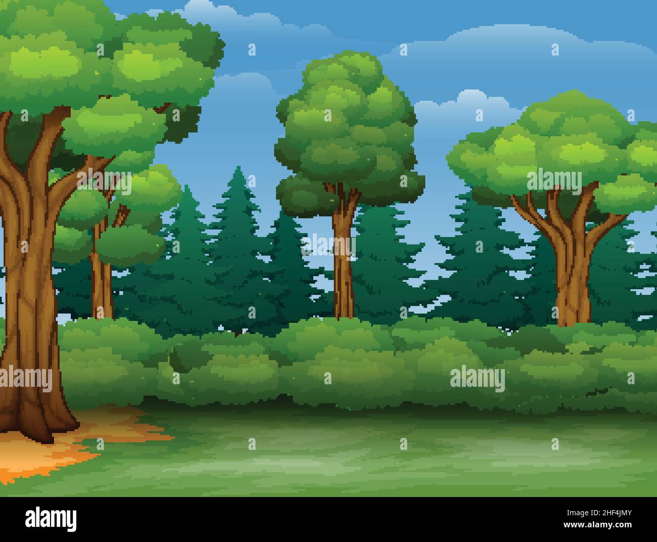 Cartoon of trees view in a forest Stock Vector Image & Art - Alamy Cartoon of trees view in a forest Stock Vector Image & Art - Alamy