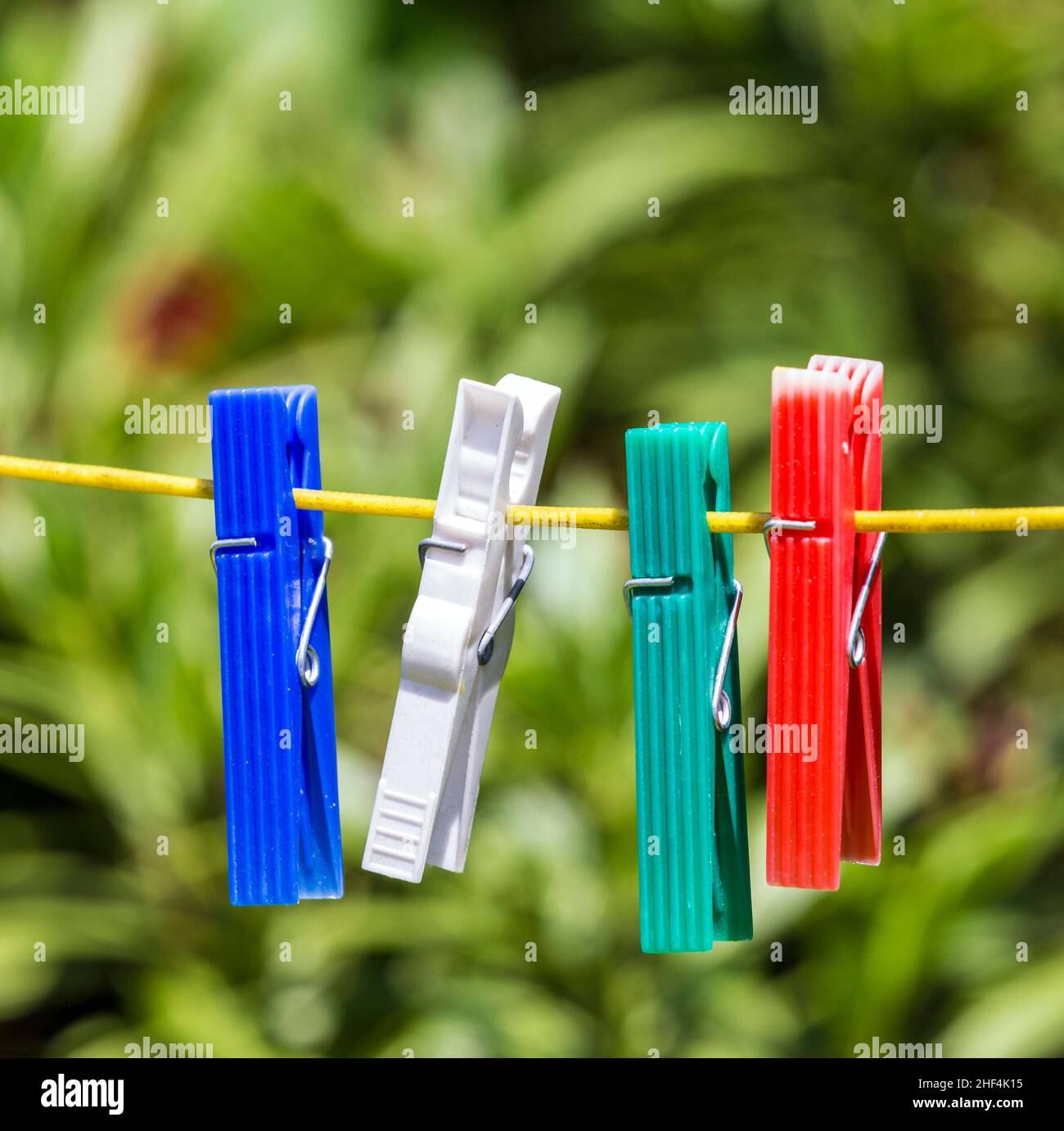 Row of colorful clothespins hanging on a yellow rope in a garden with ...