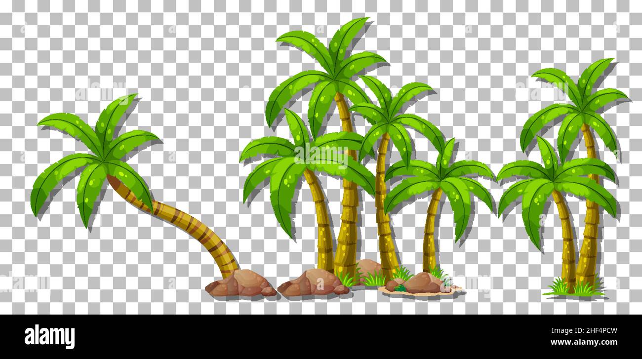 Palm trees on transparent background illustration Stock Vector Image ...