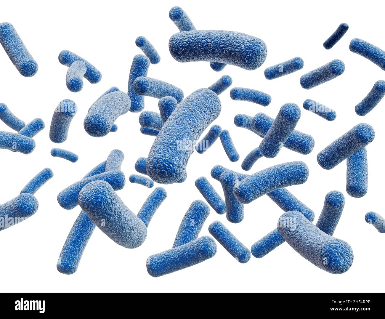 Bacteria cells close up isolated on white background Stock Photo Alamy