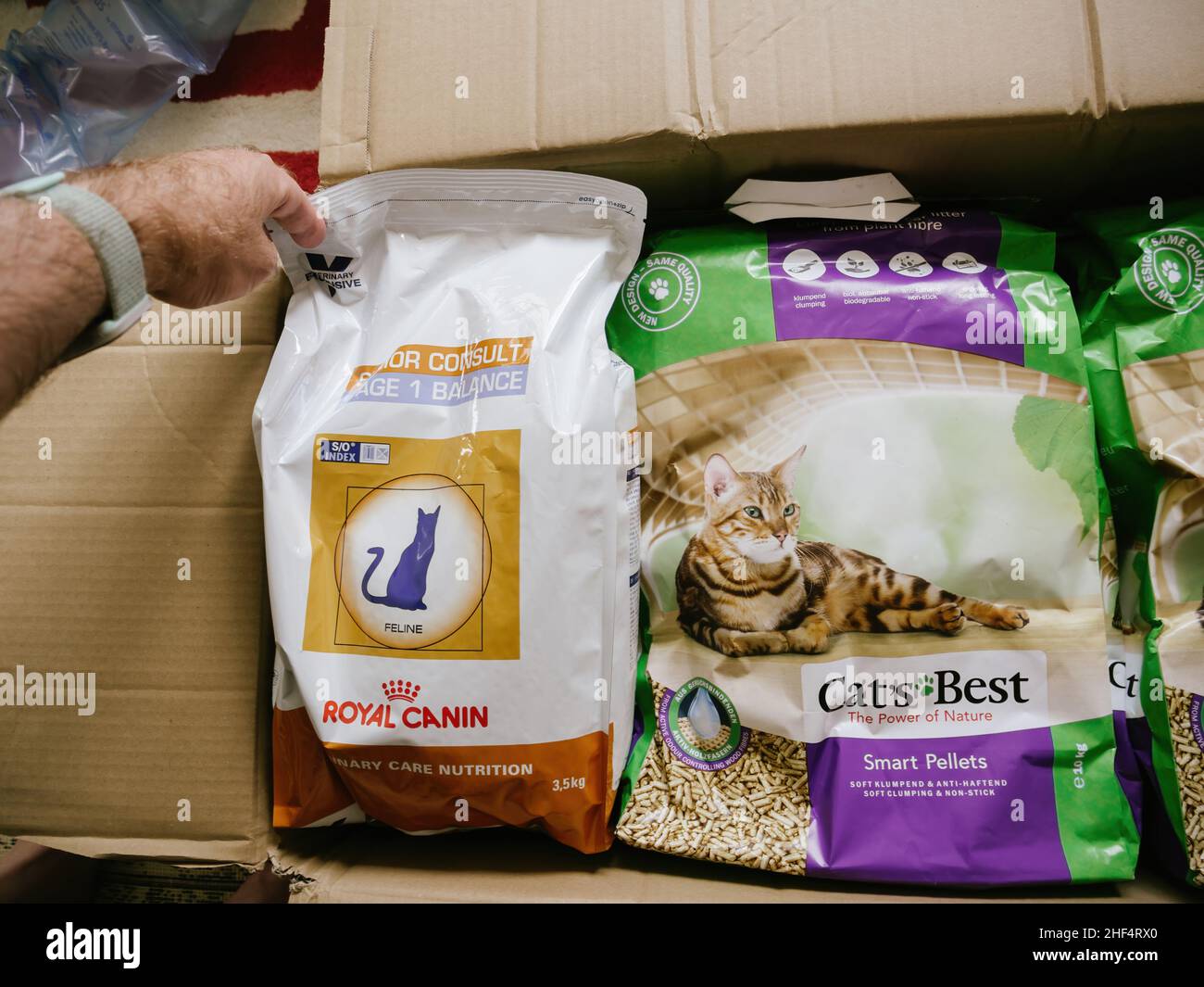 Paris, France - Jun 6, 2019: POV male hand unpacking unboxing parcel  cardboard with multiple cat pet food - Royal Canin and Cat's Best litter  inside Stock Photo - Alamy