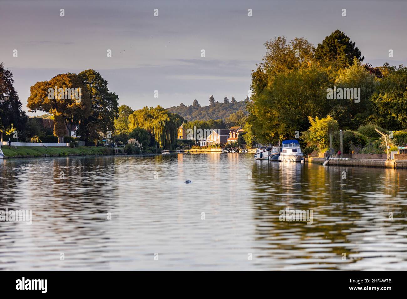 sign with swans hires stock photography and images Alamy