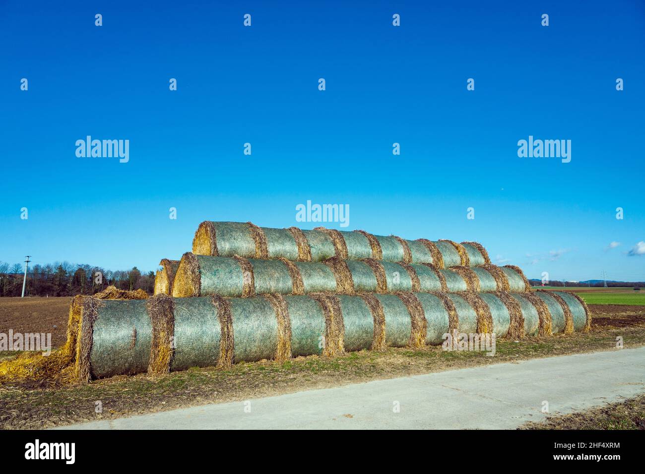 bale of straw in foil on field with blue sky Stock Photo - Alamy