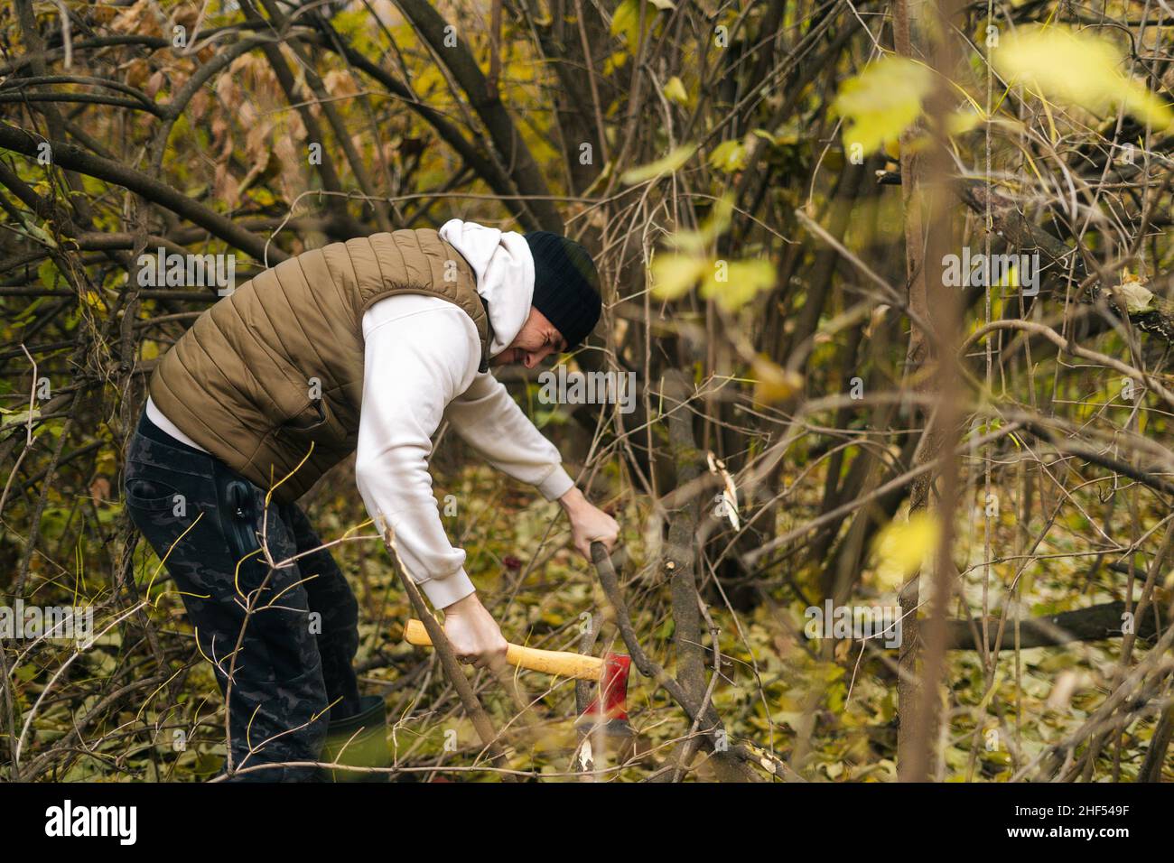 Strong tourist male wearing warm clothes chopping firewood with axe in forest on overcast cold day. Stock Photo